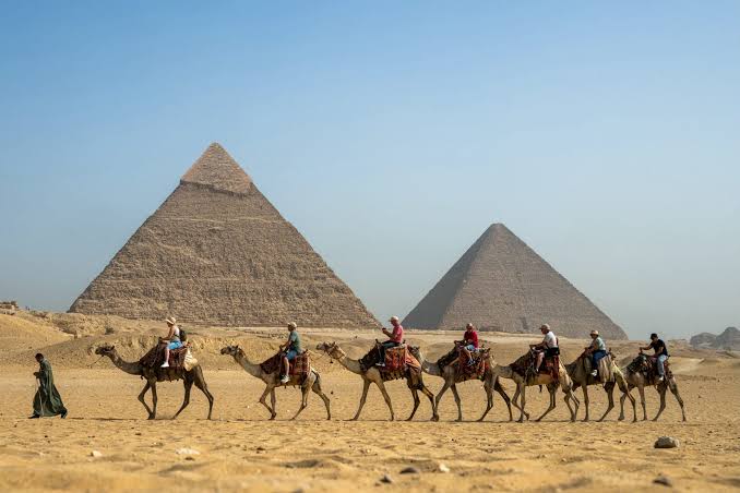دليل قطاع السياحة والضيافة في مصر: تعزيز البنية التحتية الفندقية وارتقاء بمعايير خدمات السفر [2026]